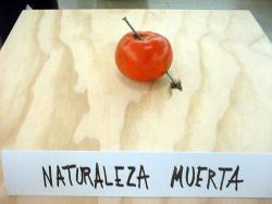 laruedacatalina:  Nicanor Parra: Naturaleza Muerta 