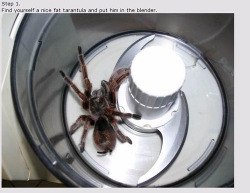 thelifeisforthosewhodream:  pawsupgagalove:  I don’t know if this is a joke or real. It’s not funny, this is cruel and seeing this makes me want to cry. I don’t care that it’s ‘just a spider’. It’s an animal with feelings. I just want to