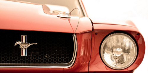 FuckYeahMustang