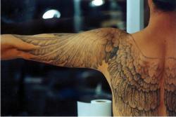    By Reed Leslie  It’s Rare That Wing Tattoos Are Beautiful Enough To Transcend