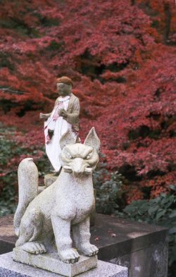 anthropologyofreligion:  狐さま  神社によって違うなぁ～　獅子をよくみる