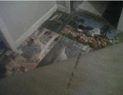 5-v-deactivated20170824:  “My friend went to tear out her carpet in the house she bought, hoping to find hardwood floors she could refinish… well, instead she was greeted by puzzles. Hundreds of them, glued to the floor!” 