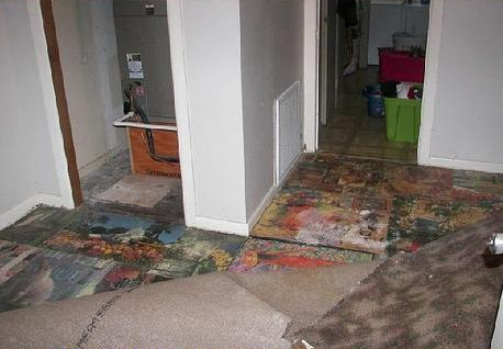 dadz0ne:   “My friend went to tear out her carpet in the house she bought, hoping to find hardwood floors she could refinish… well, instead she was greeted by puzzles. Hundreds of them, glued to the floor!”  there are bodies under those   I would