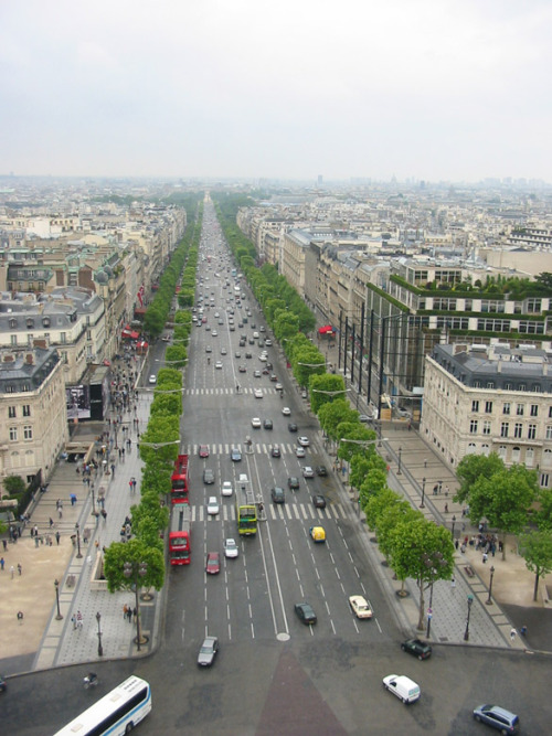 explore-the-earth:  Paris, France  favorite place on earth