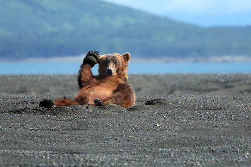 XXX hellocute:  Hay. Sup. (by Alan Vernon.)  photo