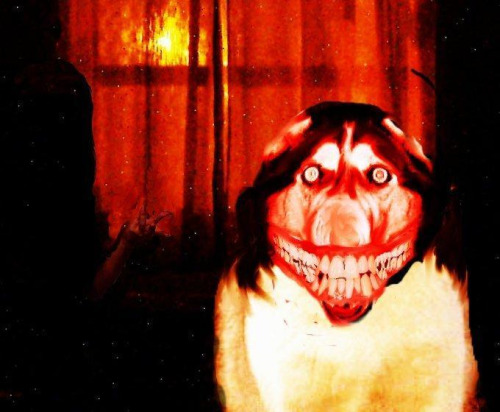 ._. I had this open on another tab for I’m not sure how long, because I don’t even remember clicking anything or opening anything like it ._> yes i know what it is xD it’s a creepypasta, smile.jpg, that i’ve read about like