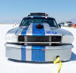 automotivated:  Ford Mustang Shelby GT350 (by Chance Hales)