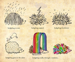 1000drawings:  hedgehog goes rainbow by Joanne