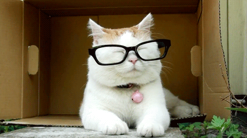 funny-pictures-uk:  Hipster Cat! 