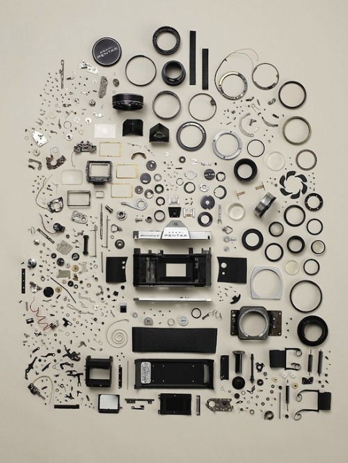 Todd McLellan – Disassembly link