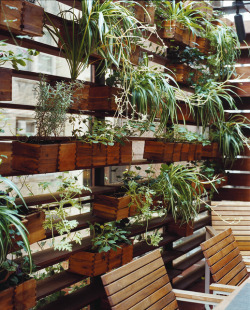 wallacegardens:  Plant Wall: Zizmor House,