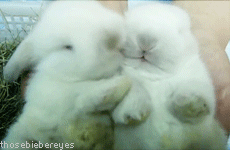 THAT BUNNY MOUTH!! porn pictures