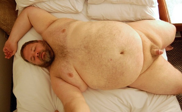 chubby bear