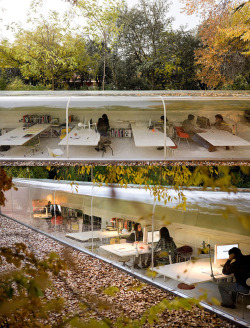 hunsonisgroovy:  Glass Office on the Forest Floor 
