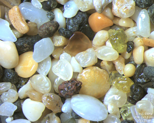 ohscience:Sand from Kalalau Beach, Hawaii (Field width = 5.5 mm). We see a few grains ofolivine, whi