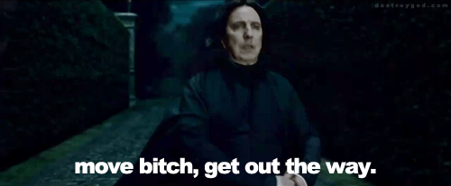 Harry Potter and the Bitch Who was Moved