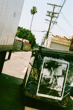 xxx tumblr