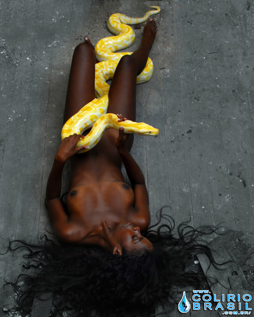 raredreamer:  Cuaima amores