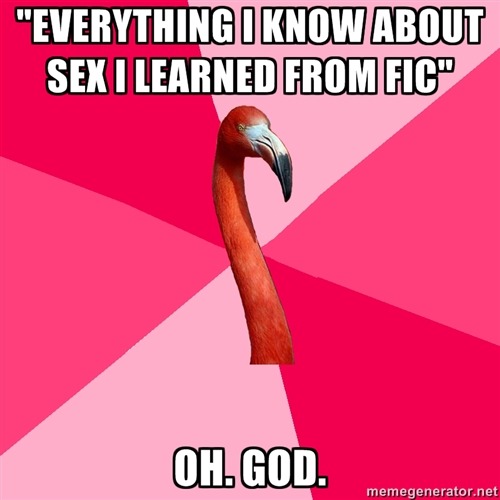 fuckyeahfanficflamingo:  [“EVERYTHING I KNOW ABOUT SEX I LEARNED FROM FIC” (Fanfic Flamingo) OH. GOD.]    Sad but true. and i am complimented on my blowjob technique. >.