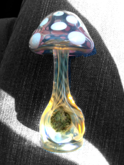 I love mushroom pipes. I haven&rsquo;t used mine in a whilem i kinda forgot about it!