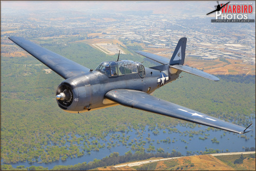 A Grumman TBM-3E Avenger flies over the Prado Dam wetlands in Chino, California in this air-to-air s