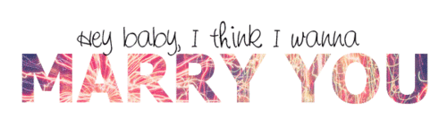I am no bird...