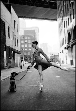 whatstheenpointe:  Trying to teach my dog