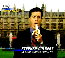 XXX salmonking:   Stephen Colbert reporting on photo