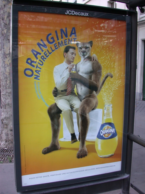 kangaroo-beer:monsteroll:I took this whilst in Paris! Orangina and their Gay Puma adds.ORANGINAI wan