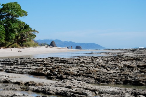 Enjoy the amazing beach out your back door. Click for more amazing views.