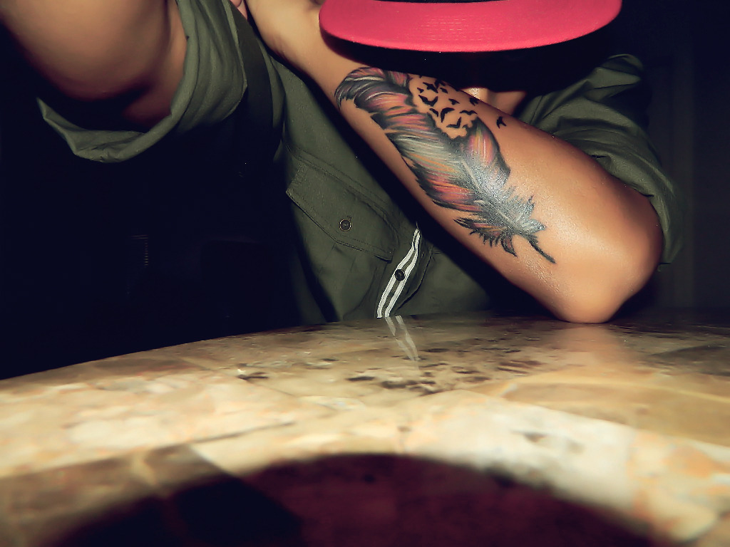 fuxkennjayy:  birds and feathers! 