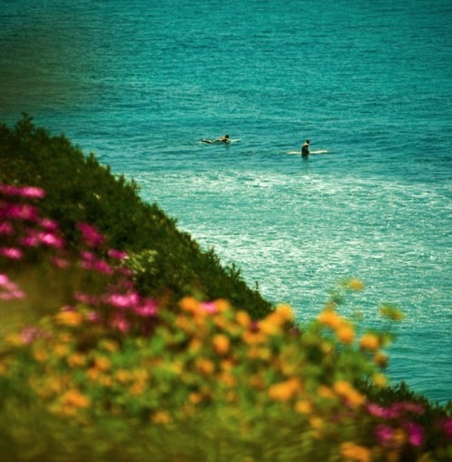 the-chill-philosophy:  gnarly—waves:  queued.  