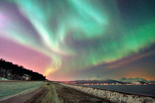 letmecharmyou:  someone take me here&lt;3