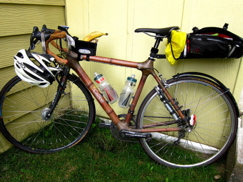 hm7:Martins’ Bike by AK Rando on Flickr.Bamboo bike for 1,200km RM.