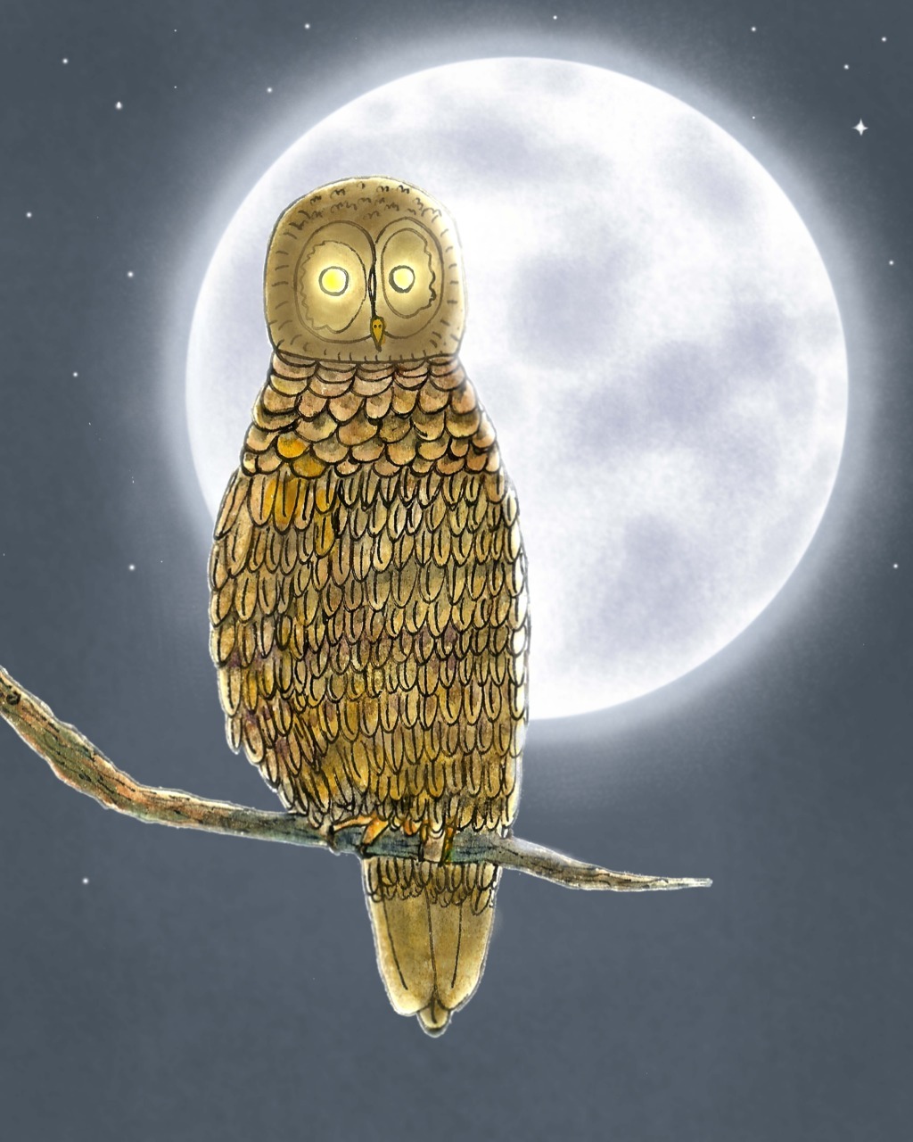 Owl night… (Mid-Autumn Festival part 3)