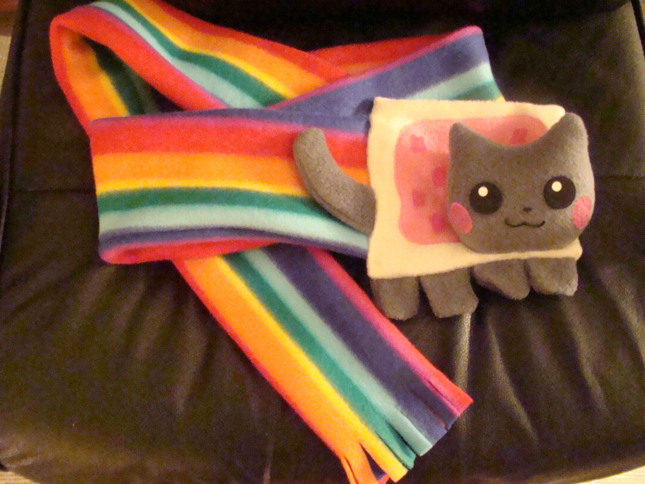 Nyan Cat scarf with and without flash. Cute right? Nathen had bought this Nyan Cat