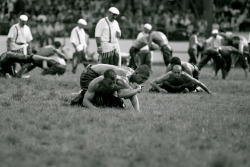 Turkish wrestling &lt;3