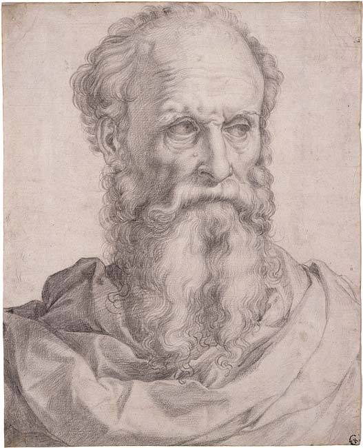 disturbthebookmites:  Head and Shoulders of a Bearded Man, Francesco Salviati, c.