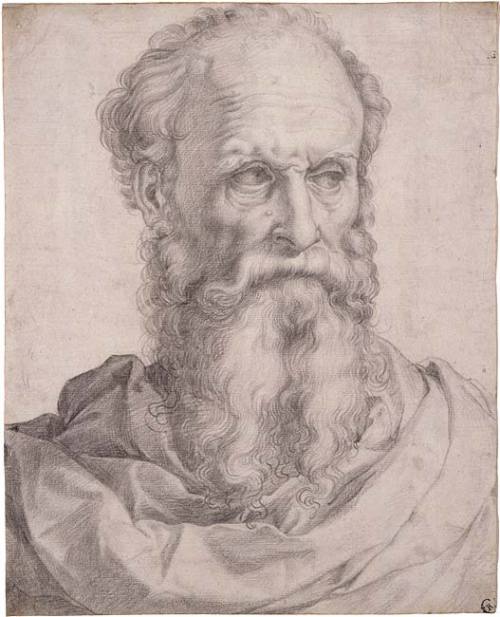 disturbthebookmites:  Head and Shoulders of a Bearded Man, Francesco Salviati, c. 1540. 