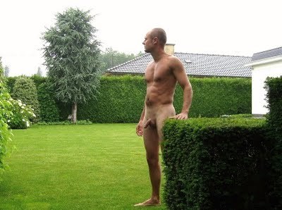 hidden by hedges