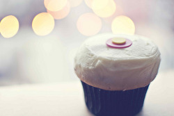 valeriaavgo:  Sprinkles CUPCAKES! 