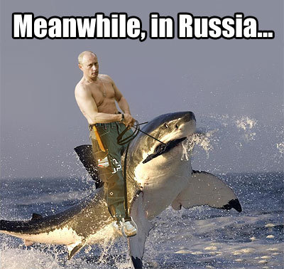 retrostow:  FUCK YEAH VLADIMIR.