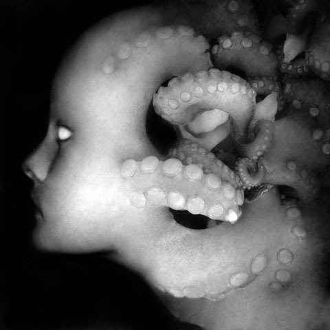 opticacrisaore:  Federico Bebber. 