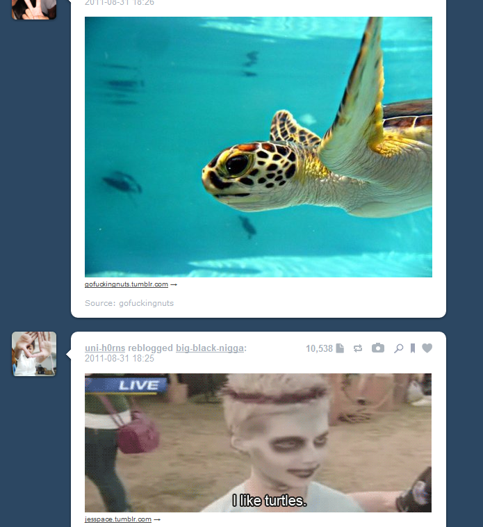  turtle turtle ~pops head out like a turtle~  hehe