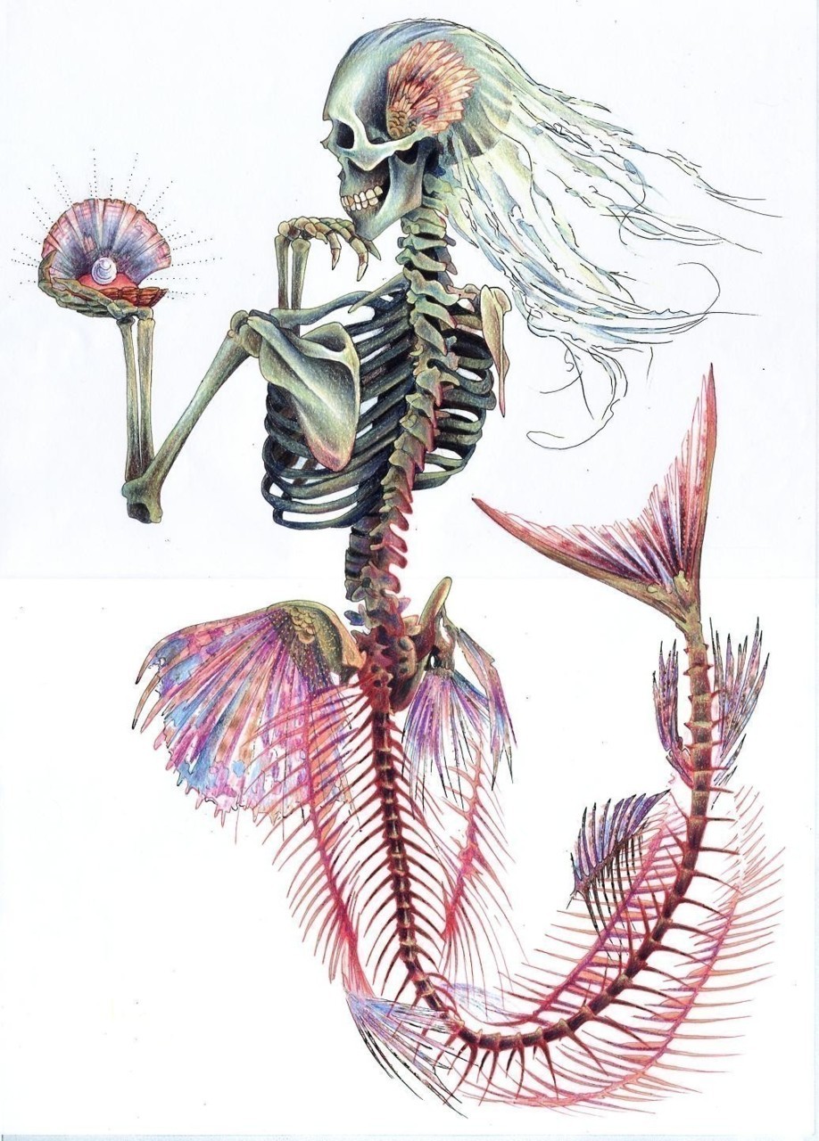 2headedsnake:  ninjasovereign.com  James Robinson  
