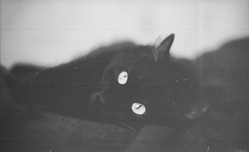 dearscience:  нига (by julie.cherpak) 