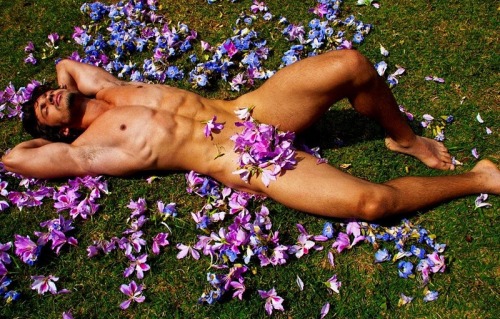 Porn photo pontodi:  Maikel Castro by Didio (Flowers)