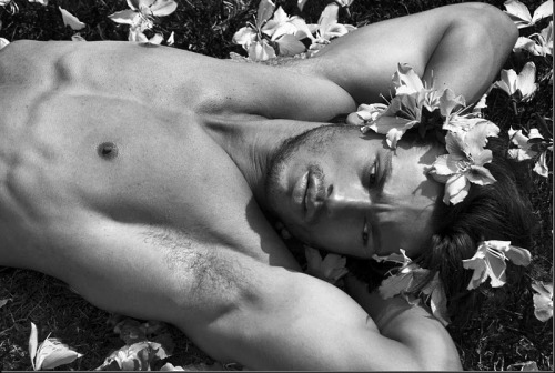 Porn Pics pontodi:  Maikel Castro by Didio (Flowers)