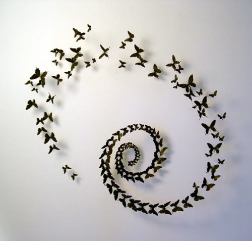 danceabletragedy:  Paul Villinski - birds and butterflies These butterflies are made of cans. 