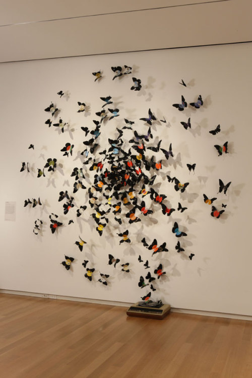 danceabletragedy:  Paul Villinski - birds and butterflies These butterflies are made of cans. 